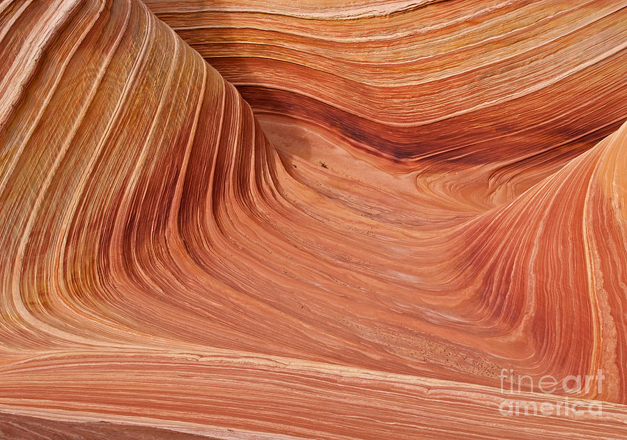 Nature Photograph - Wave Rock 4 at the Coyote Buttes by Alex Cassels