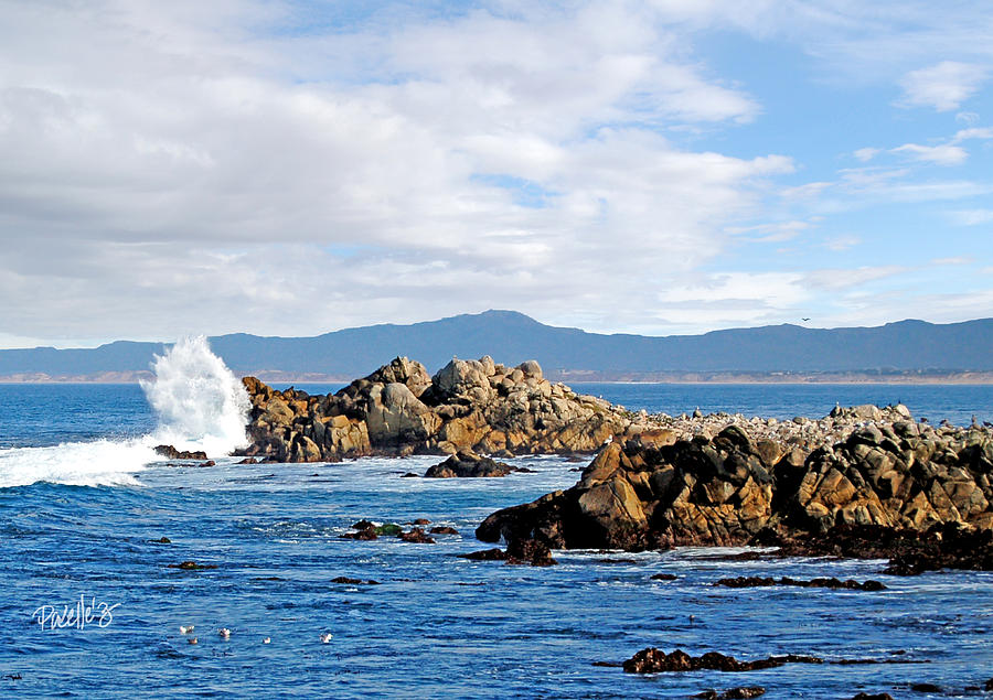 Wave Roost - Pacific Grove California  Digital Art by Jim Pavelle