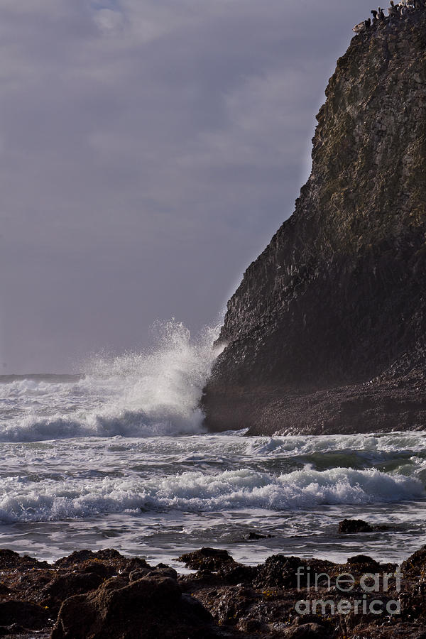 Oregon Coast Photograph - Waves Against the Rocks by M J