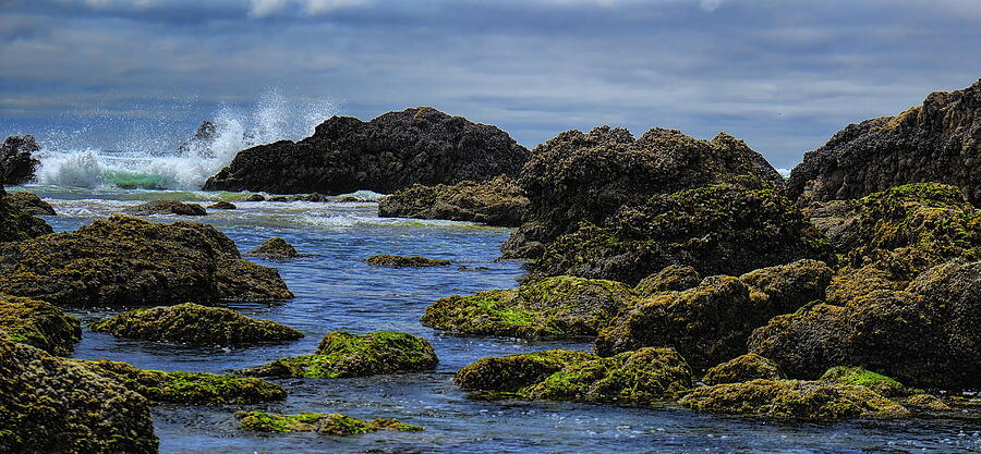 Waves and Jagged Rocks Photograph by Dale Kauzlaric