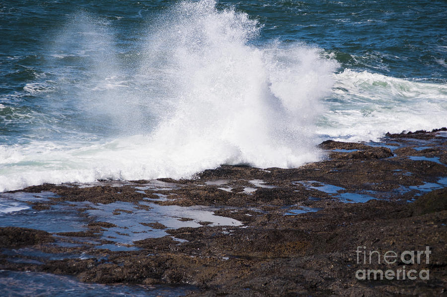 Oregon Photograph - Waves Crashing on the Rocks by M J