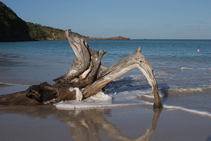 Waves hit driftwood Photograph by Kim French
