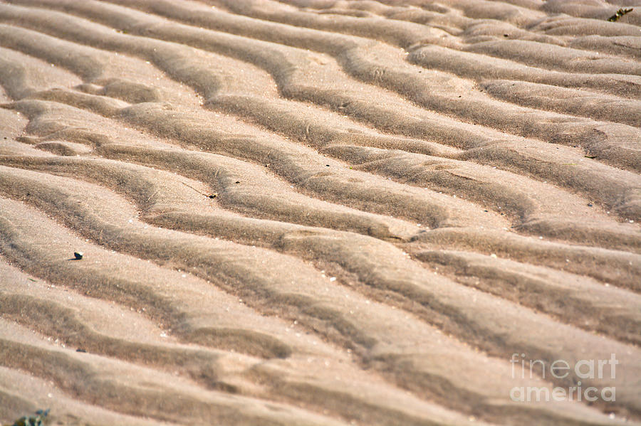 Waves In The Sand Photograph