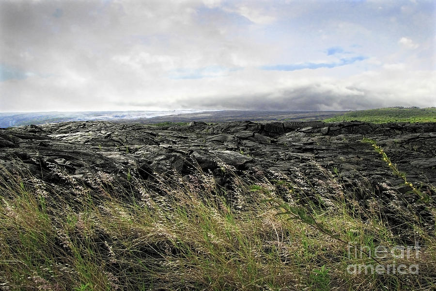 Waves of clouds sea lava and grass Photograph by Ellen Cotton
