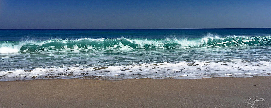 Waves of Happiness  Photograph by Cindy Greenstein
