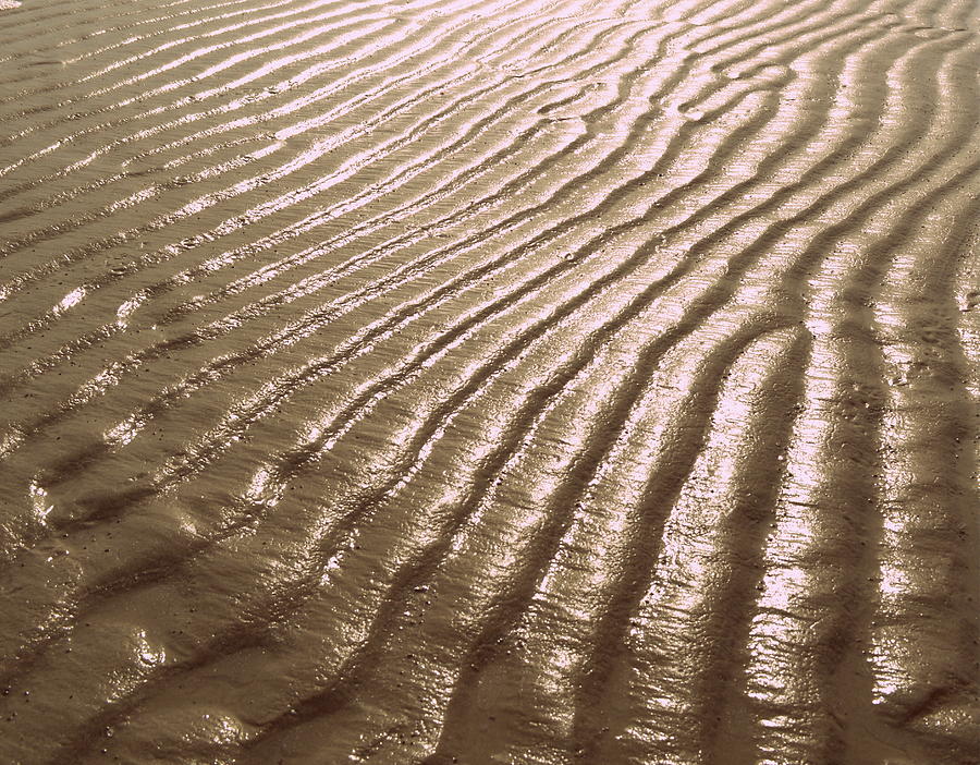 Abstract Photograph - Waves of sand by Linda Covino