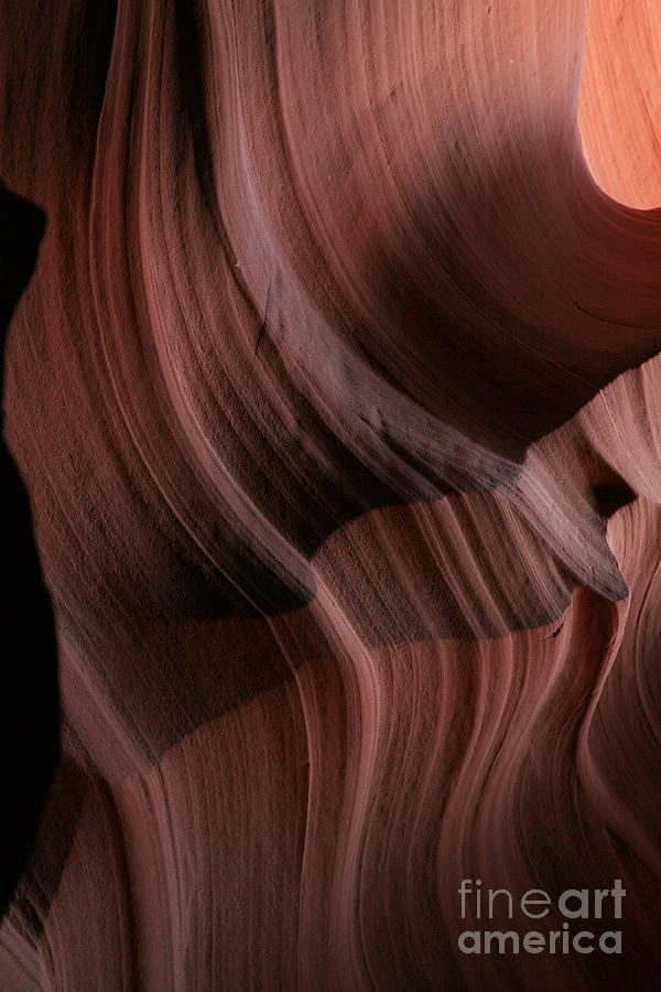 Waves of Sandstone Photograph by Timothy Johnson