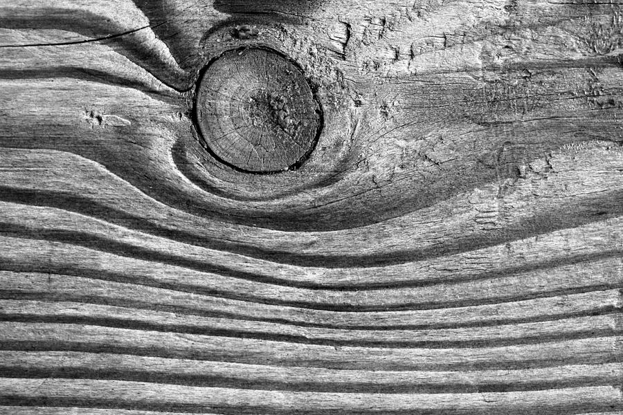 Waves of Wood 2 BW Photograph by Mary Bedy
