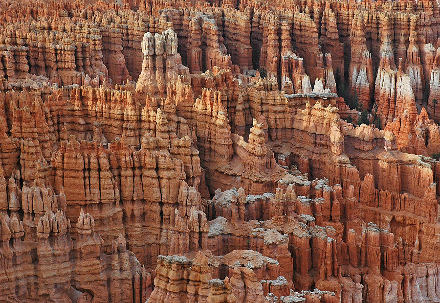 Waving Spires in Bryce Canyon National Park Photograph by Bruce Gourley