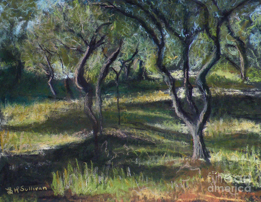 Olive Trees Pastel - Vincents Wavy Trees by Laura Sullivan