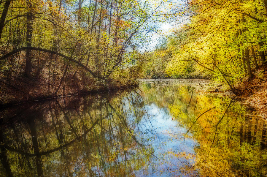Waxen Autumn 2  Photograph by Susan McMenamin