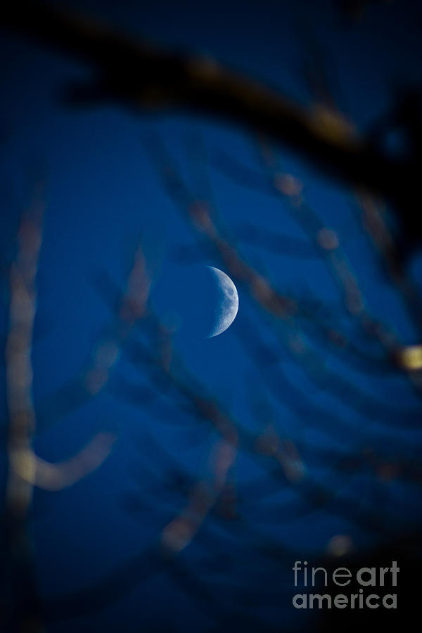 Waxing Crescent Moon Photograph by Joel Loftus