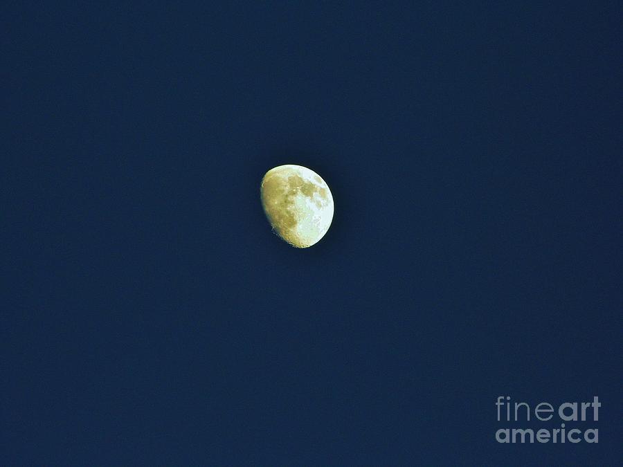 Waxing Moon Beauty Photograph by D Hackett