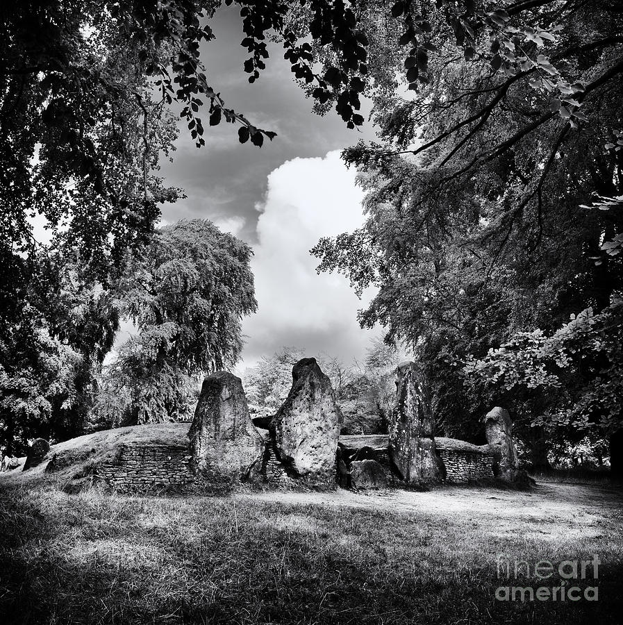 Black And White Photograph - Waylands Smithy Long Barrow by Tim Gainey