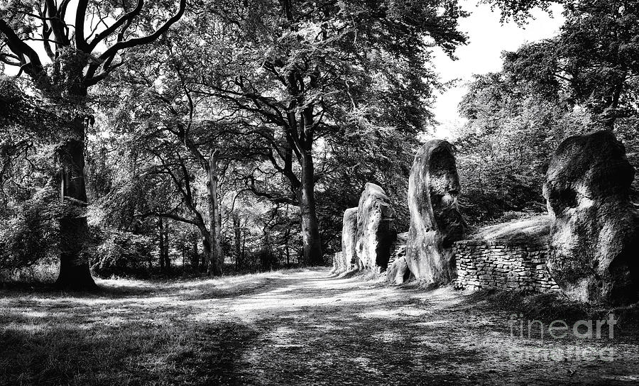 Black And White Photograph - Waylands Smithy by Tim Gainey