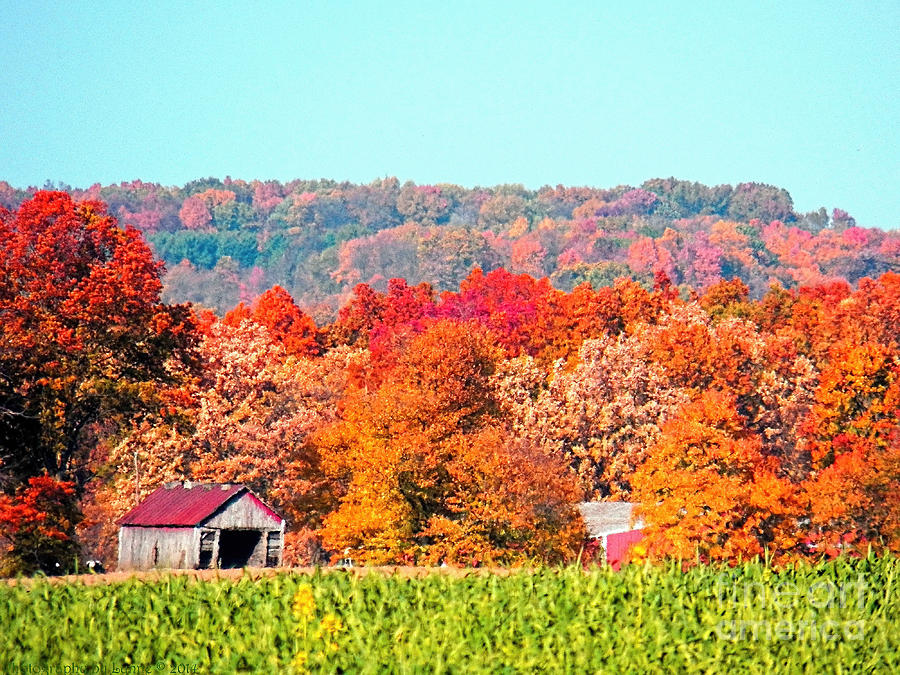 Wayne County Ohio Autumn Photograph