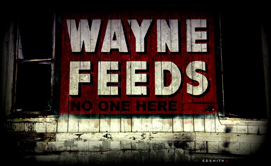 Wayne Feeds No One Here Photograph by Edward Smith