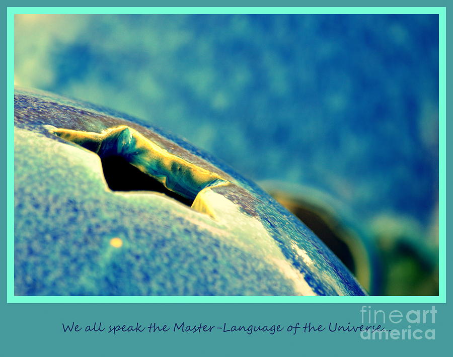 We All Speak the Master Language of The Universe Photograph by Susanne Van Hulst