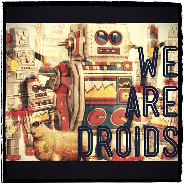Sheep Photograph - WE are Droids Retro by Angelica Smith Bill