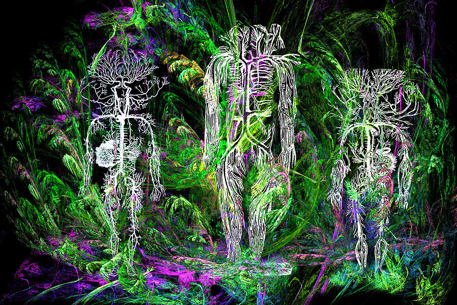 We Are Trees Digital Art by Lisa Yount