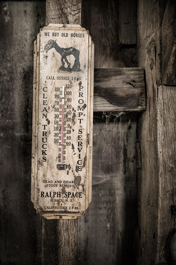 We buy old horses - Vintage Thermometer Photograph by Gary Heller