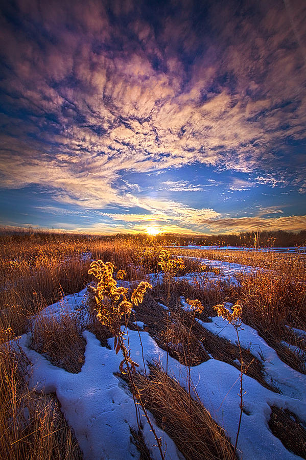 We Cannot Let Our Angels Go Photograph by Phil Koch