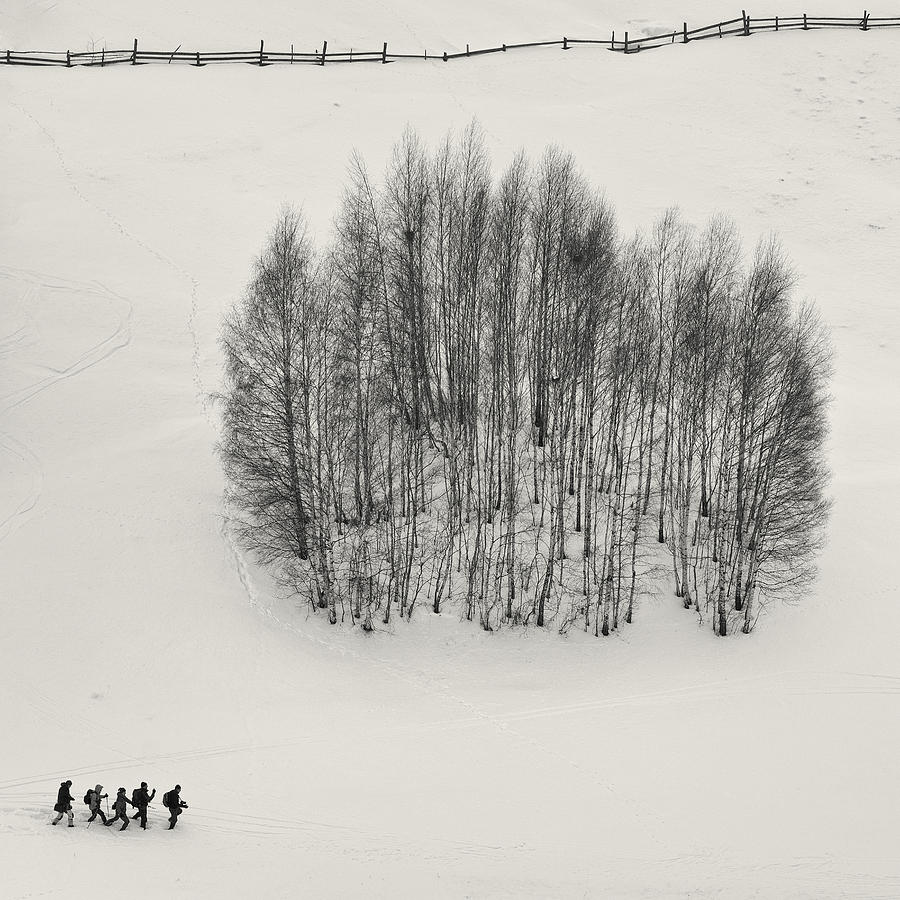 Winter Photograph - We Cant Dance by Mihai Ian Nedelcu