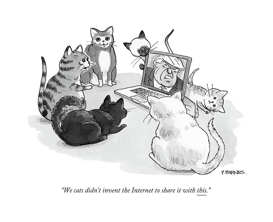 We Cats Didnt Invent The Internet To Share Drawing by Pat Byrnes