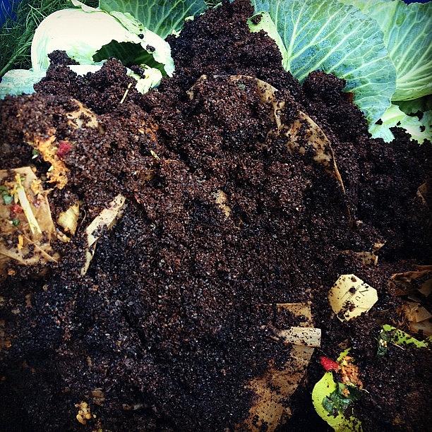 Compost Photograph - We #compost Do You? Learn More At by Debbie Lazinsky