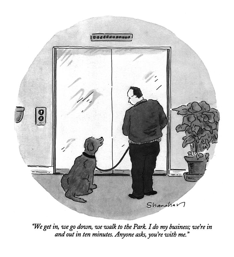 Pets Drawing - We Get In, We Go Down, We Walk To The Park by Danny Shanahan Pets Drawing - We Get In, We Go Down, We Walk To The Park by Danny Shanahan