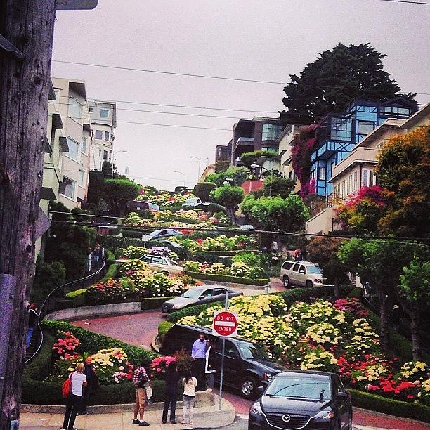 Sanfrancisco Photograph - We Made It Down Lombard St. Before We by Maureen Bates