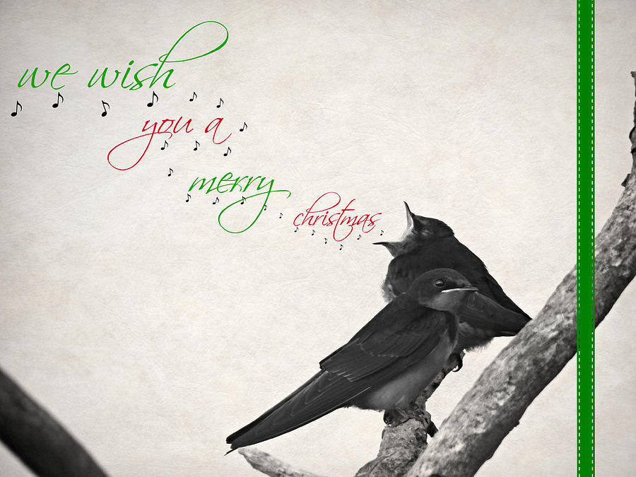 We Wish You a Merry Christmas Card Photograph by Dark Whimsy