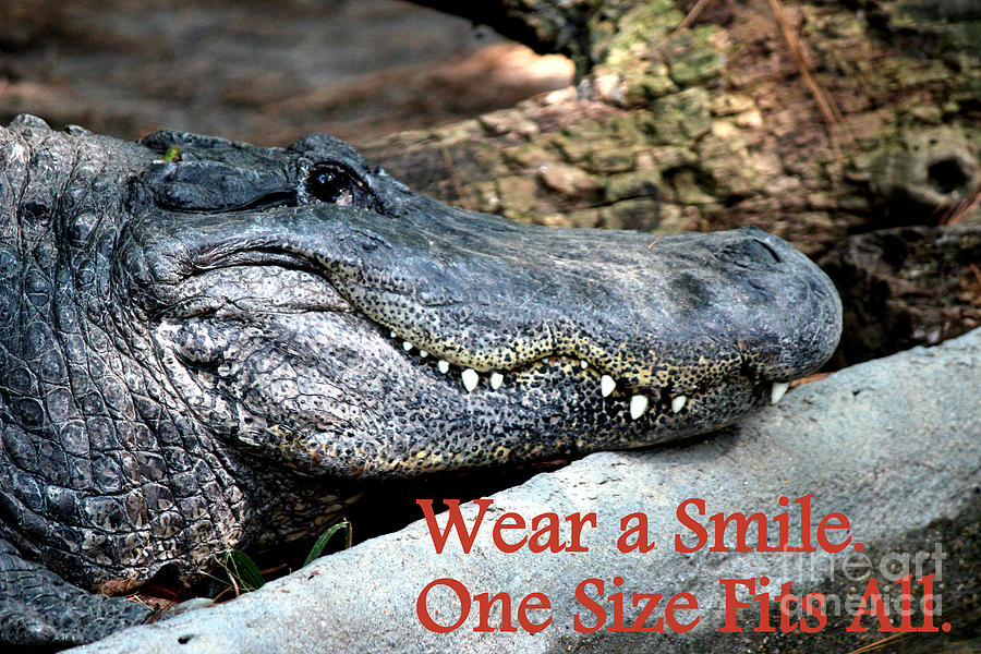 Wear A Smile/Smiling Alligator Photograph by Kathy  White