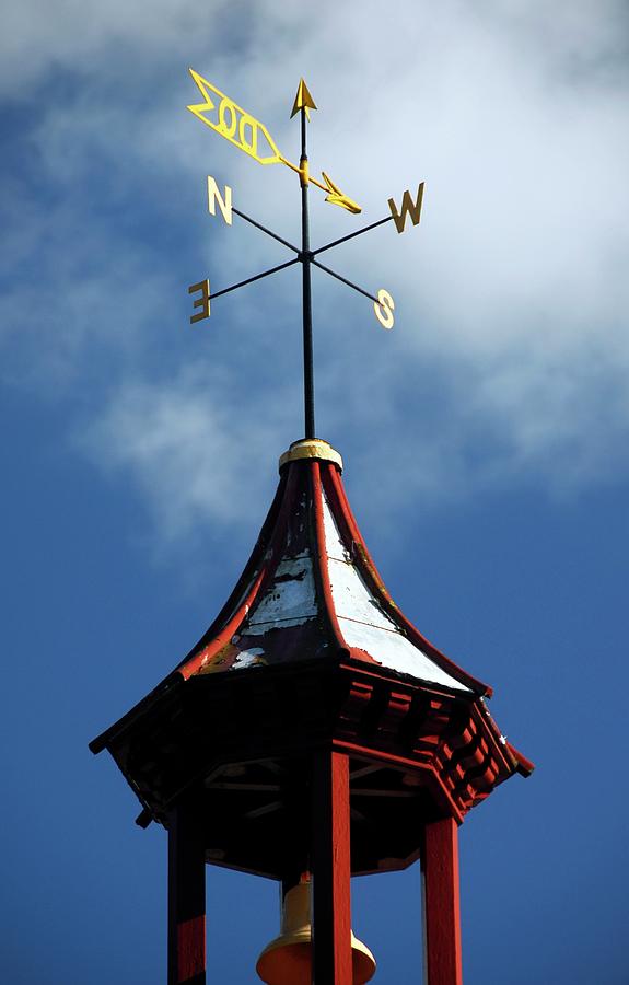 Weather Vane Photograph by Cordelia Molloy/science Photo Library