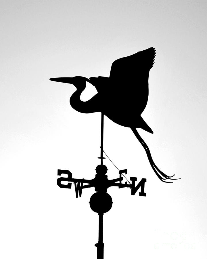 Weather Vane Silhouette  Photograph by Bob Sample