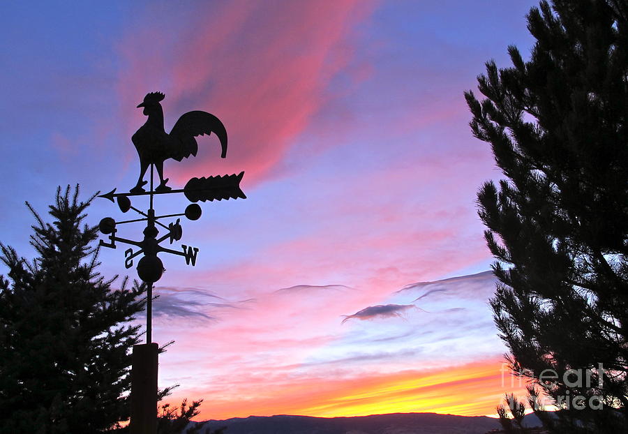 Rooster Photograph - Weather Vane Sunset by Phyllis Kaltenbach