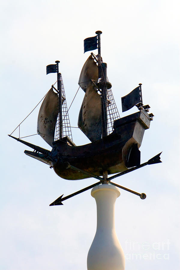 Weather Vane Photograph by Tim Holt