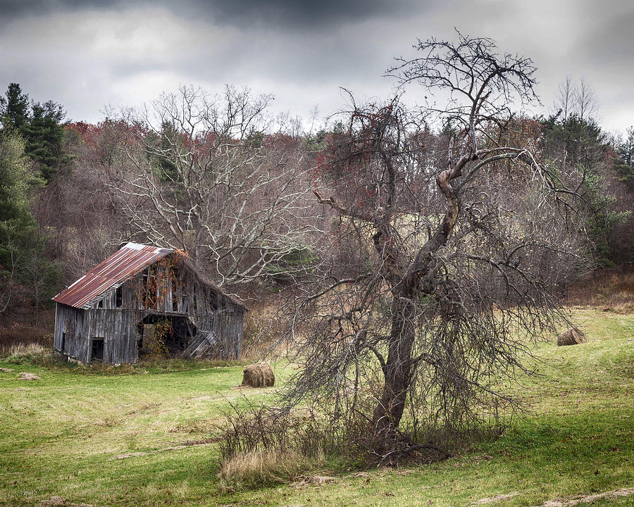 Weathered Photograph by Alan Raasch