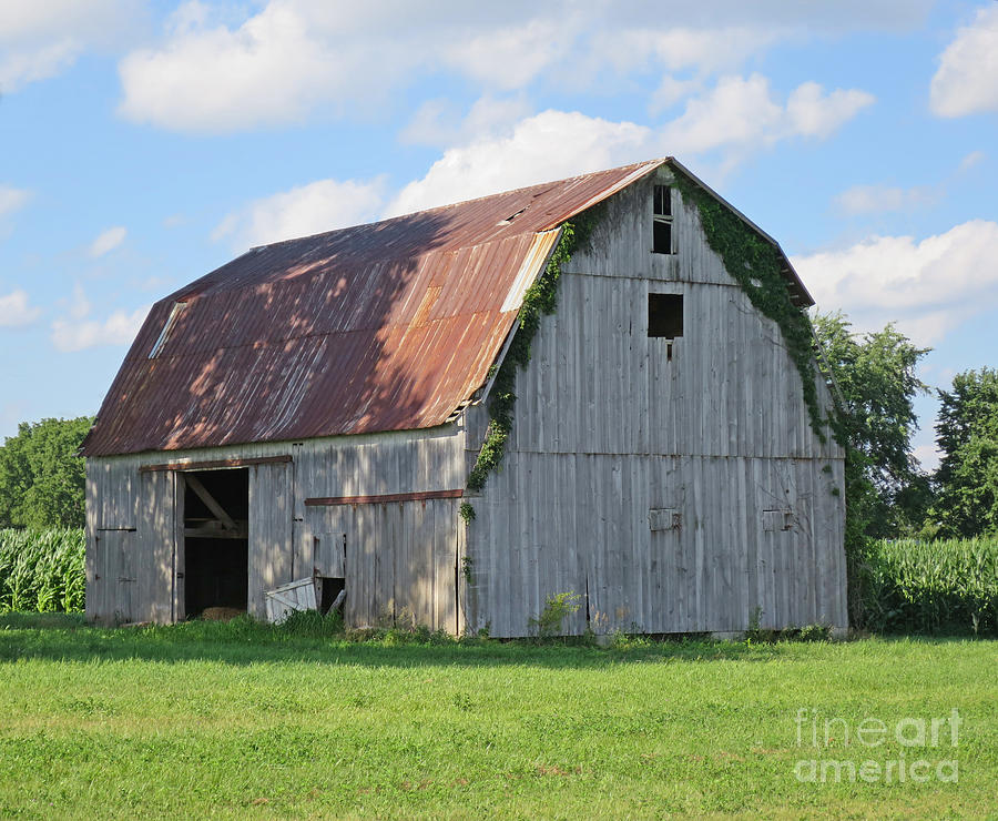 Weathered Barn Photograph by Ann Horn