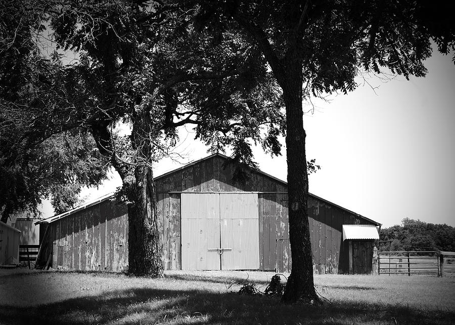 Weathered Barn Black and White  - photography Photograph by Ann Powell