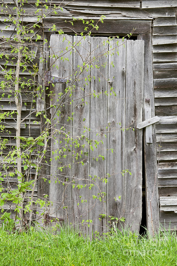 Barn Photograph - Weathered Barn Door by Alan L Graham