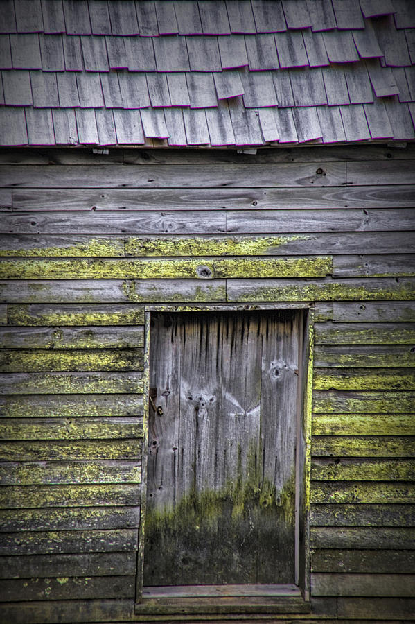 Weathered Barn Door Photograph by Randall Nyhof