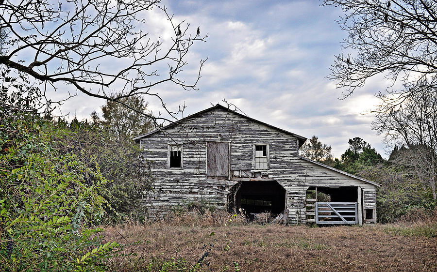 Weathered Barn Photograph by Linda Brown