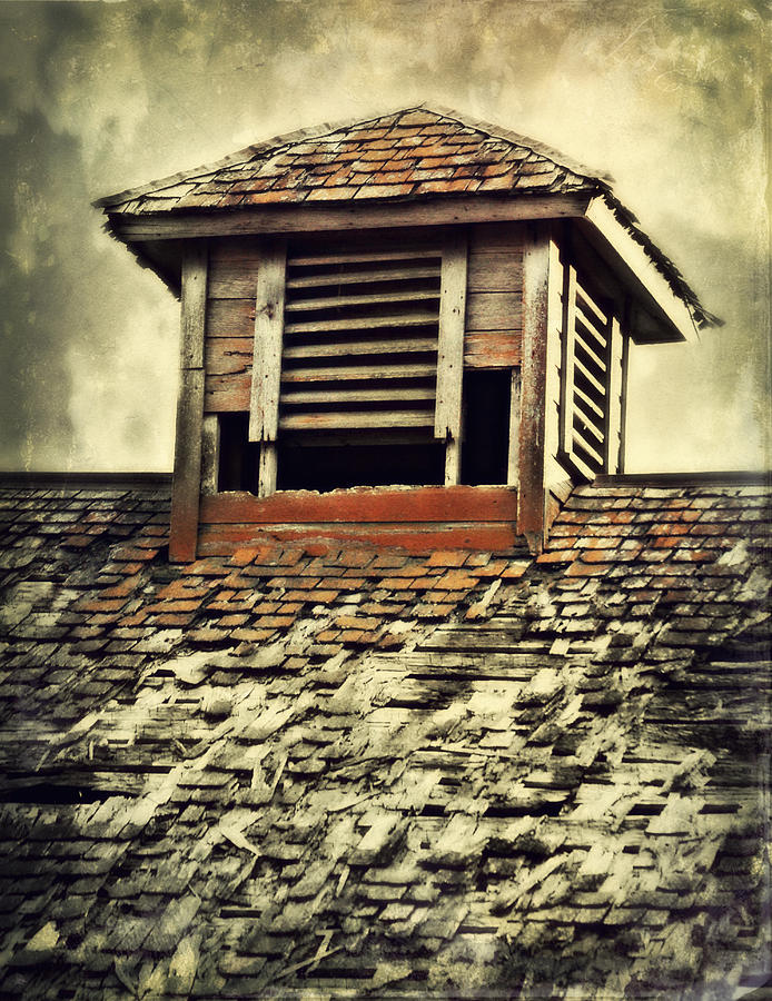 Weathered Cupola Photograph by Julie Hamilton