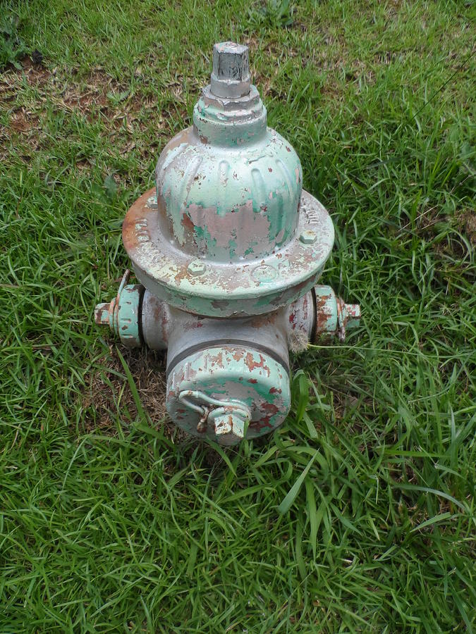 Green Photograph - Weathered Fire Hydrant by James Potts