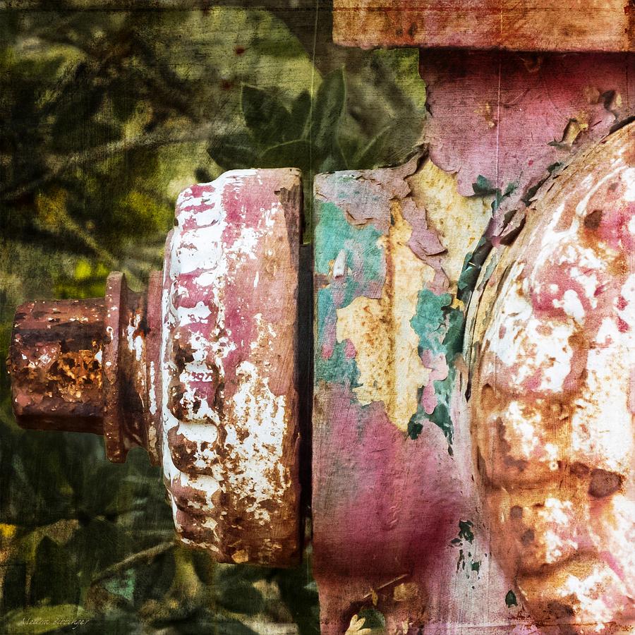 Weathered Fire Hydrant Photograph by Melissa Bittinger