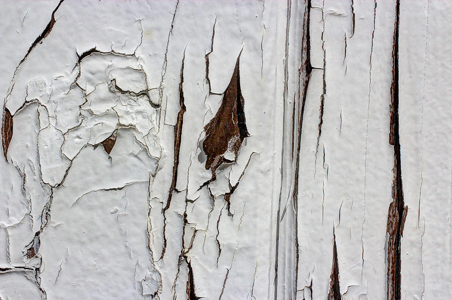Weathered Photograph by Heidi Smith