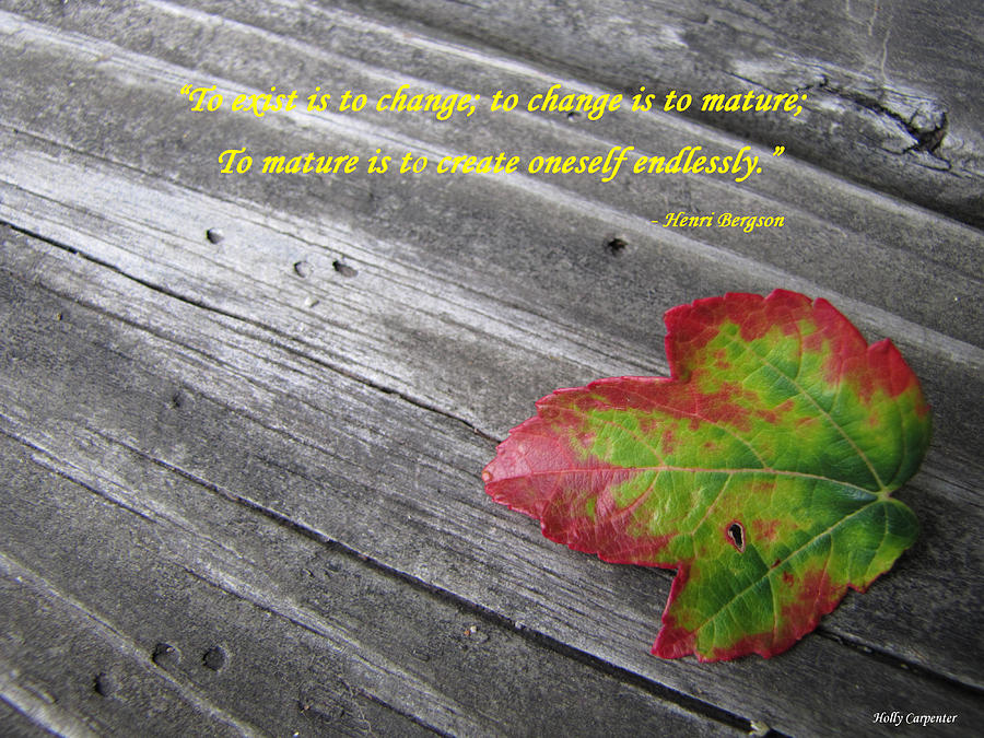 Fall Photograph - Weathered by Holly Carpenter Fall Photograph - Weathered by Holly Carpenter