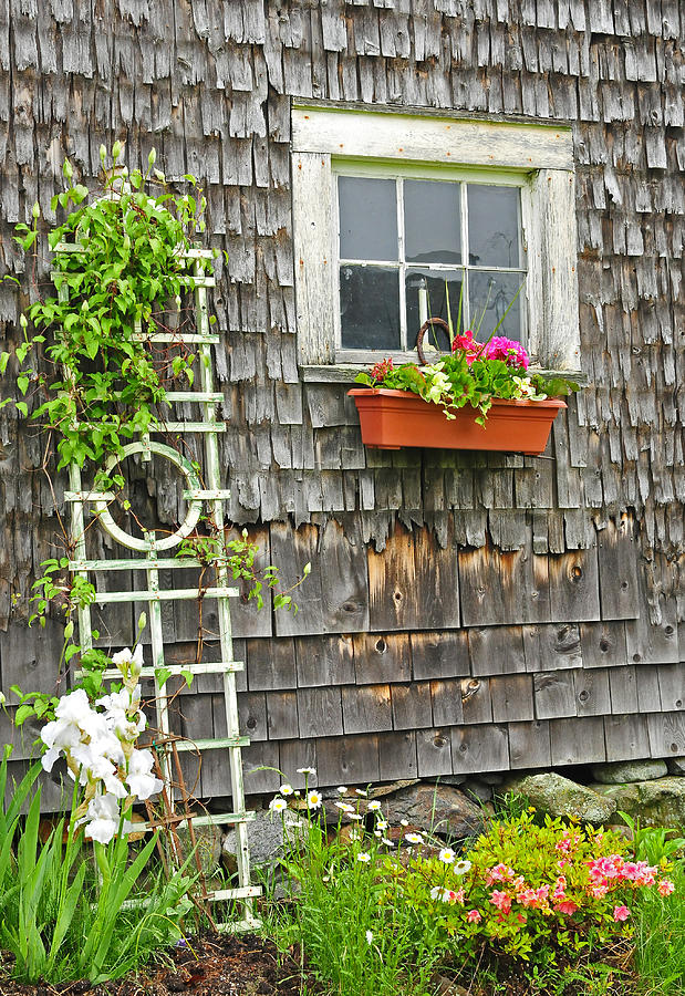 Charming Maine Coastal Cottage Prints Photograph by Photos by Thom