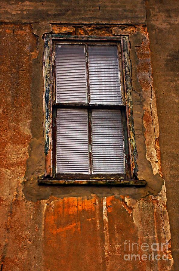 Weathered Photograph by Marcia Lee Jones
